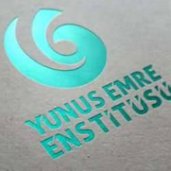 Türkiye'nin yumuşak gücü Yunus Emre Enstitüsü 2024'te de gönülleri fethetti