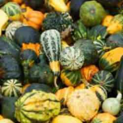 Yeşil kabağın faydaları nelerdir? Kabak yemenin 10 altın faydası!