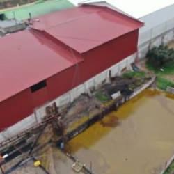 Depodan sızan tonlarca zeytinyağı araziye yayıldı! Zararı çok büyük...