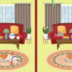 Eğlenirken kendinizi test etmenizi sağlayacak fark bulmaca oyunu: İki resim arasındaki 5 farkı 10 saniyede bulabilir misin?