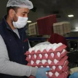 Yumurta fiyatları neden yükseliyor! Üreticiler onları sorumlu tuttu