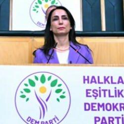 PKK'ya operasyonlardan rahatsız olan DEM Parti'den yalan ve hadsiz çağrı