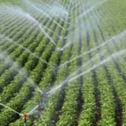 Tarım yatırımlarından en büyük payı sulama projeleri alacak