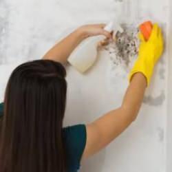 Duvar içindeki küflenme nasıl fark edilir? Duvarların içerisindeki küfleri tespit etmenin en basit 4 yolu