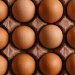Rusya, Türkiye'den 1,5 milyon adet yumurta ithal etti