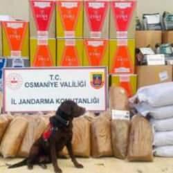 Osmaniye’de 487 kilo kaçak tütün ele geçirildi