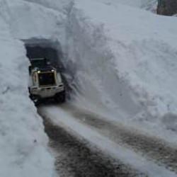 Y&uuml;ksekova'da &ccedil;ığ d&uuml;şt&uuml;: 1 kişi ağır yaralandı
