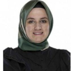 AK Partili Fatma Sevim Baltacı hayatını kaybetti! Kaza nasıl gerçekleşti?