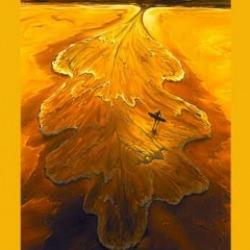 Kişilik testi: Sorunları çözme yönteminiz nedir? Sorunlarınızı mantıkla mı yoksa içgüdüsel olarak mı çözüyorsunuz?