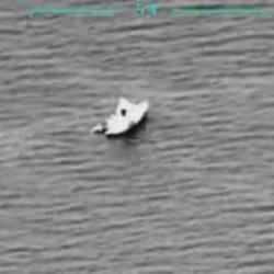 TSK, Yunanistan tarafından bırakılan düzensiz göçmenleri kurtardı