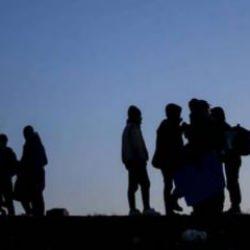 255 düzensiz göçmen yakalandı