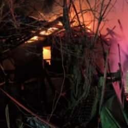 Düzce'de yangın faciası: 4 büyükbaş hayvan telef oldu!