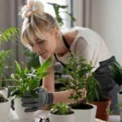 Ev bitkisi bakarken muhtemelen yaptığınız 5 yaygın hata