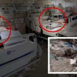 Gazze'de çürümüş bebekler bulundu