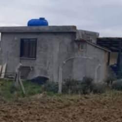 İki arkadaş evinde ölü bulundu