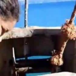 Marmara Denizi&rsquo;nde batan gemide kadın tayfanın son paylaşımı ortaya &ccedil;ıktı