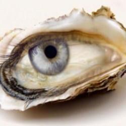 2024 yılında şans sizinle mi olacak? İlk gördüğünüz şey bu senenin gidişatını gösterecek!