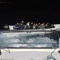 Bodrum'da 79 kaçak göçmen yakalandı: 1 gözaltı