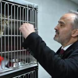 Can dostlara modern yeni yuva