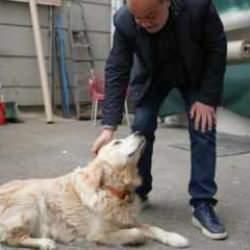 Emsal niteliğinde karar: Köpek sahibine 700 bin lira ceza!