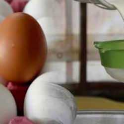 Tavuk eti ve süt üretimi arttı, yumurta üretimi azaldı