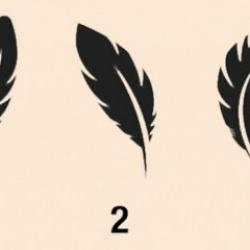 En büyük korkunuz ne? Sadece bir tüy seçin ve en büyük korkunuz ile yüzleşin!