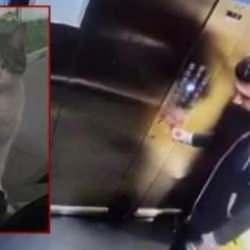 Kedi Eros davasında başsavcılıktan itiraz!  