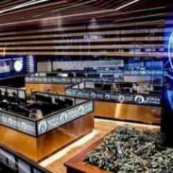 Borsada yatırımcı sayısı artıyor