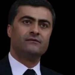 Van'da &ccedil;ıkan olayların arka planında neler var?