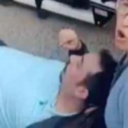 İstanbul'da pitbull dehşeti: 6 kişiyi par&ccedil;alamış