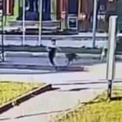 Sahipsiz köpeklerden kaçarken otomobilin çarptığı kadın yaralandı