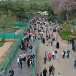 Gaziantep Doğal Yaşam Parkı'na bayramda ziyaretçi akını