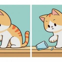 Su dolu bardakla oynayan kediye ait iki resim arasındaki farkları sadece gözlem ustaları bulabilir!