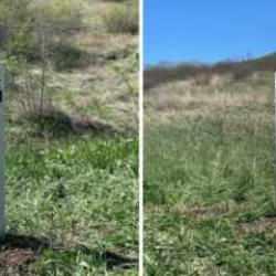 Azerbaycan ile Ermenistan sınırında tarihe ge&ccedil;en gelişme! İlk kez...