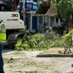 İstanbul'da ağaç katliamı! Esnaf ve vatandaş tepki gösterdi