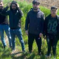 Edirne'de 4 kaçak göçmen yakalandı