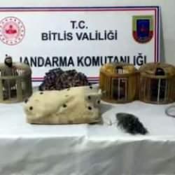Keklik avcıları suçüstü yakalandı: 63 bin lira ceza kesildi