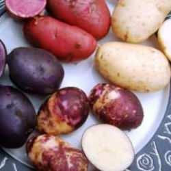 Mor patates nasıl yenir, faydaları nelerdir? Mor patates içeriği nedir?