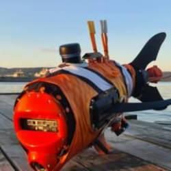 Orta Doğu'daki su yollarına süper büyük boy palyaço balığı robotları geliyor 