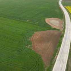 Trakya'da etkili olan yağışlar buğday ve kanola üreticisini ümitlendirdi