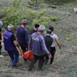 Tunceli'de ayının saldırısına uğrayan adam yaralandı