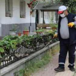 Gaziantep'te haşerelere karşı 165 bin noktada ilaçlama yapılıyor