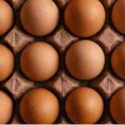 Yumurta fiyatları "mayıs çukuru"na yuvarlandı