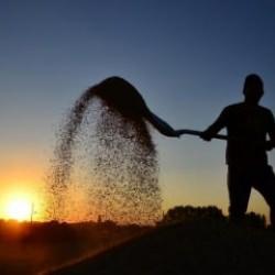 212 ülkeye 31 milyar dolarlık ihracat! Bakan Yumaklı açıkladı