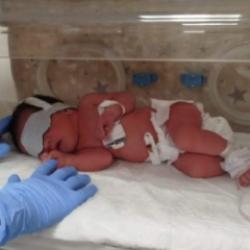 Dağ yoluna terkedilen 2 g&uuml;nl&uuml;k bebeğin ailesi serbest bırakıldı