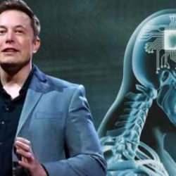 Elon Musk'ın beyin çipi arıza yaptı!