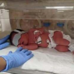 2 g&uuml;nl&uuml;k bebeği dağ yoluna bırakmışlardı: Aile &uuml;yeleri yakalandı