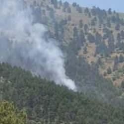 Adana'da çıkan orman yangını kontrol altına alındı