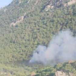 Antalya'da çıkan orman yangını! 2 dönüm alan zarar gördü