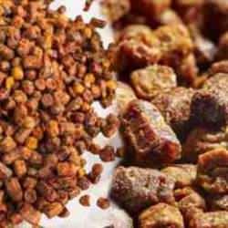 Arı ekmeği faydaları ve zararları nelerdir? Arı ekmeği nedir, nasıl tüketilir?